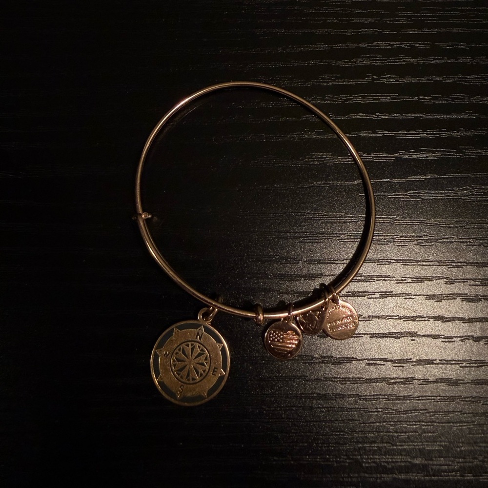 Alex and Ani Compass Charm Bracelet